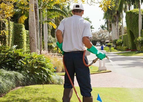 About Mc Gaheysville VA Pest Control